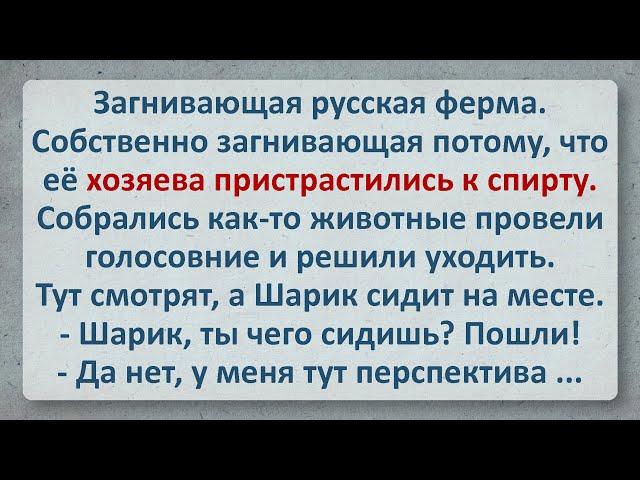 Анекдот - Перспектива