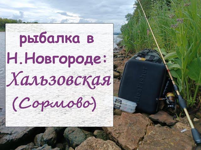 Рыбалка в Нижнем Новгороде: Хальзовская (Сормово)