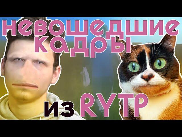 БРАЙНОВСКИЕ СЛИВКИ (RYTP/ПУП/РИТП/РУТП/YTP)
