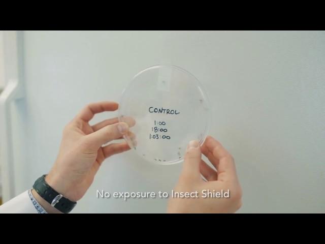 Buffwear: Buff® Insect Shield® Mosquito Knockdown Test | AvidMax