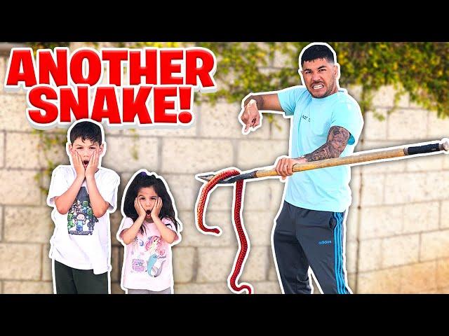 WE CAN'T BELIEVE WE FOUND ANOTHER SNAKE BY OUR HOUSE!!! **SHOCKING**