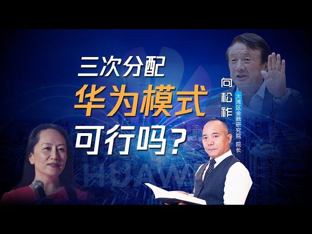 向松祚：三次分配 华为模式可行吗？