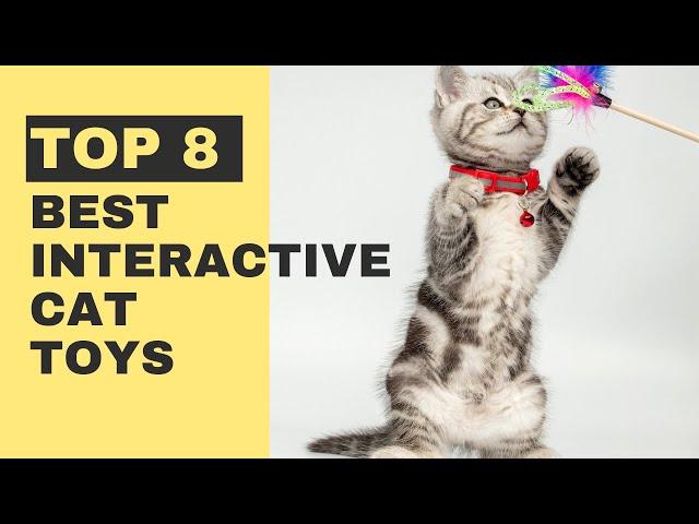 Top 8 Best Interactive Cat Toys – Which One Is Best for Your Little Furball?