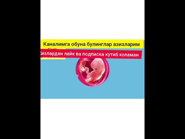 хомиладорликнинг 8-хафтаси да сизни нималар кутмокда билиб олинг