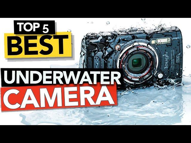  TOP 5 Best Underwater Camera | Waterproof Cam review 2024