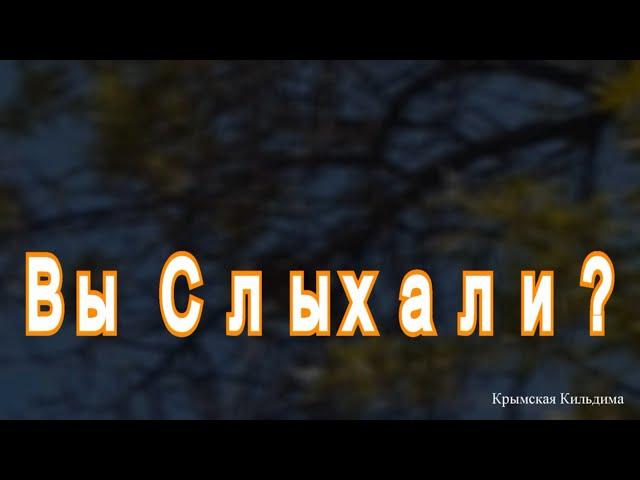 Вы Слыхали? (как поют дрозды)