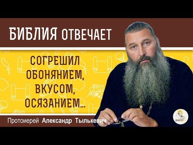 "Согрешил обонянием, вкусом, осязанием". Это как ? Протоиерей Александр Тылькевич