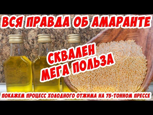 Вся правда об амаранте. Сквален - супер польза. Показываем холодный отжим масла из семян амаранта.