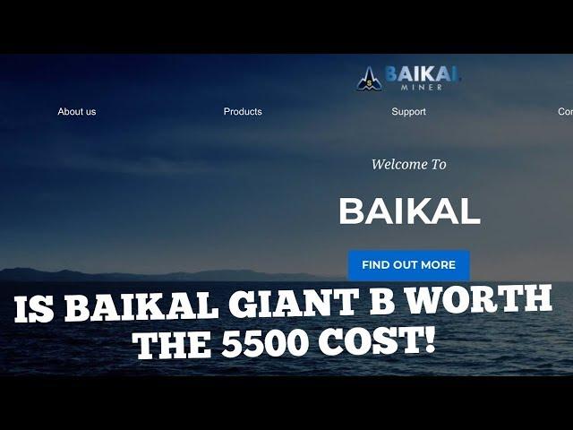 IS BAIKAL GIANT B WORTH THE COST?!