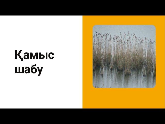 Экологиялық таза,  қолжетімді өнім. Косилкамен қамыс шабу / камыш