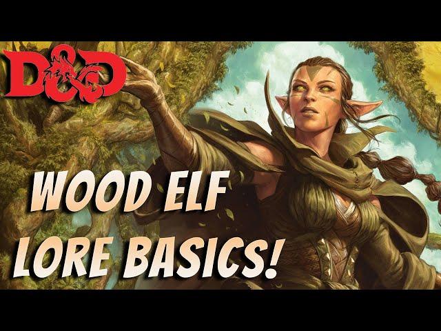 Baldur's gate 3 lore: Wood elf