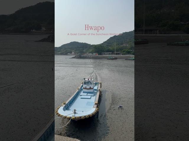 시간이 멈춘 듯한 풍경, 순천 화포해변2025 세계유산축전에서 직접 만나보세요#2025세계유산축천#선암사#순천갯벌#순천세계유산축전#순천여행#순천놀곳#광주근교#순천놀곳#전남여행
