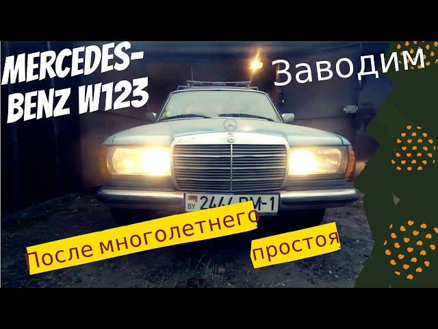 Заводим Mercedes Benz W123 после многолетнего простоя