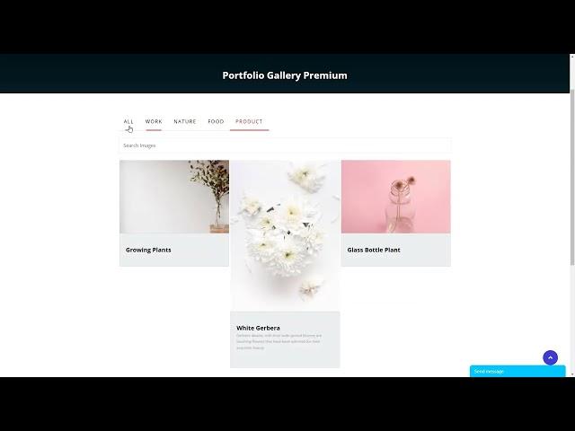 Portfolio Filter Gallery Wordpress Plugin