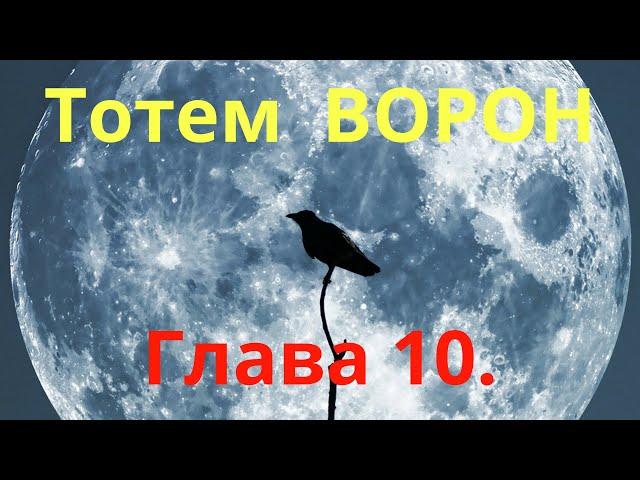 Тотем ВÓРОН ‍⬛. Глава 10. Энциклопедия "Всё о Шаманизме". Шаман - Сергей Попроцкий.