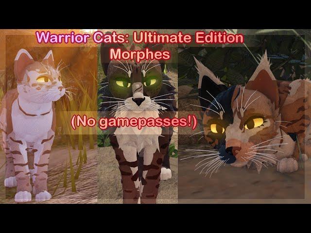 Warrior Cats: (NO GAMEPASSES) Skins Ideas! #12 (Roblox)