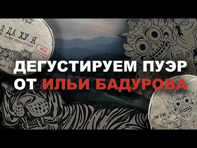 Пьём пуэр от Ильи Бадурова|Отвечаем на вопросы