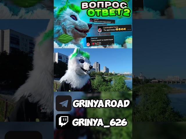 Тгк - GrinyaRoad #курган #grinya #гриня #курган #фурри #фурсьют #furry #furryfandom #fursuit