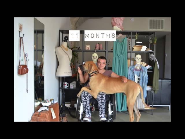 3 Great Dane Years in Under 1 Minute