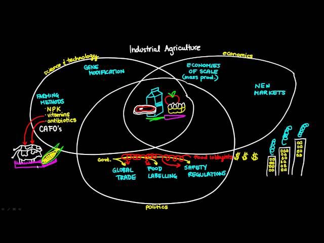 Industrial Agriculture