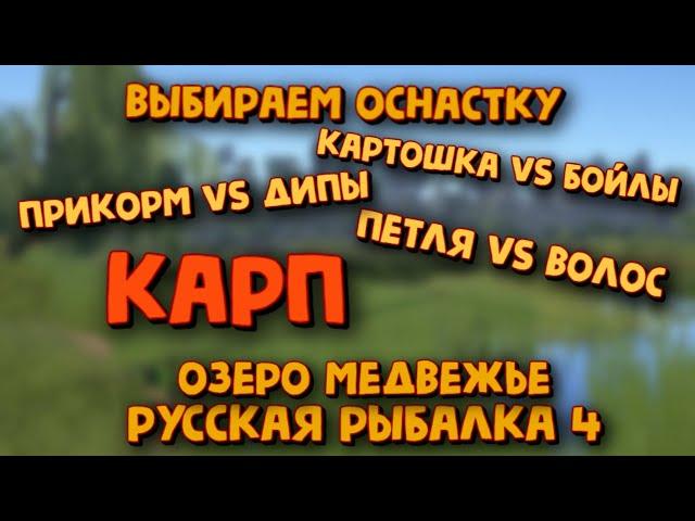 Ловим карпа на бойлы и дипы. Тест оснасток волосяной против петлевой. Медвежка. Русская рыбалка 4.