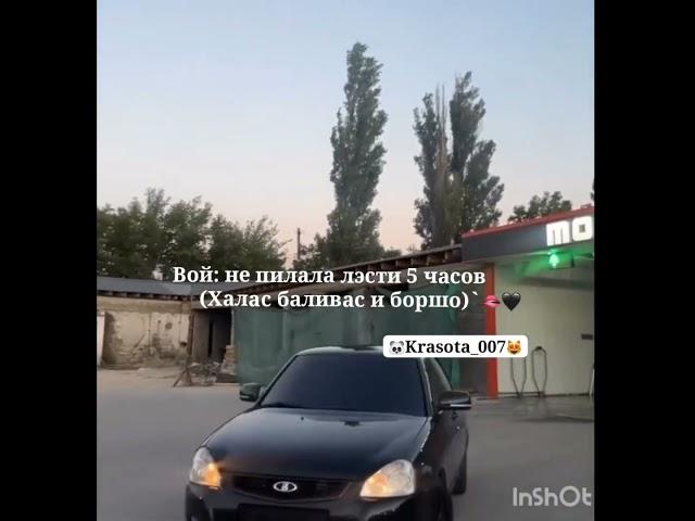 #sorts #cat #2024год #funny #automobile #music #wedding
