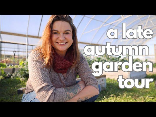 A November Garden Tour?! (Low Expectations in a Warm Fall Garden)