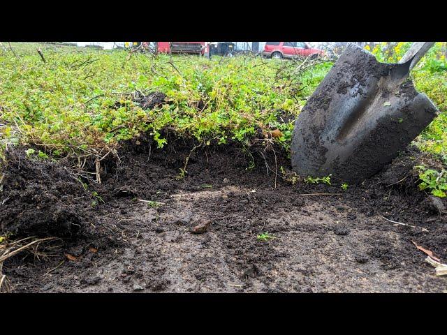 We Found SIDEWALKS In Our Garden Beds