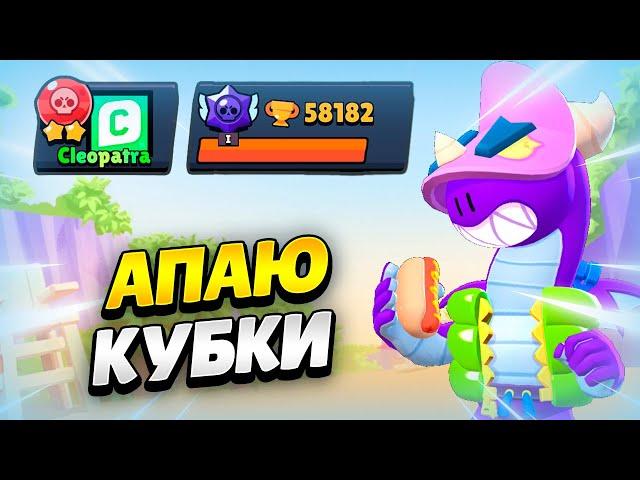  АПАЮ КУБКИ С КОМАНДОЙ В БРАВЛ СТАРС | КЛЕО BRAWL STARS