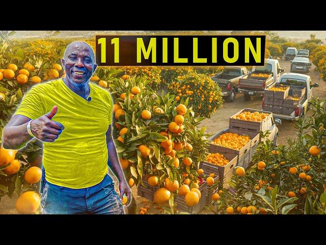 He left USA to invest D11 Million in Orange Farm: A Bold Investment Story