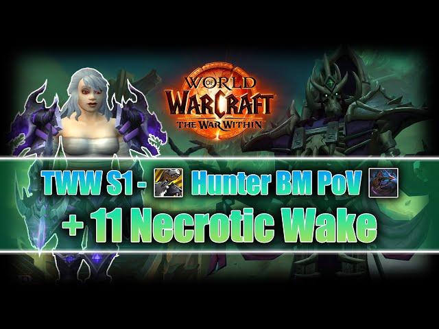 [TWW S1] +11 Necrotic Wake - Hunter BM