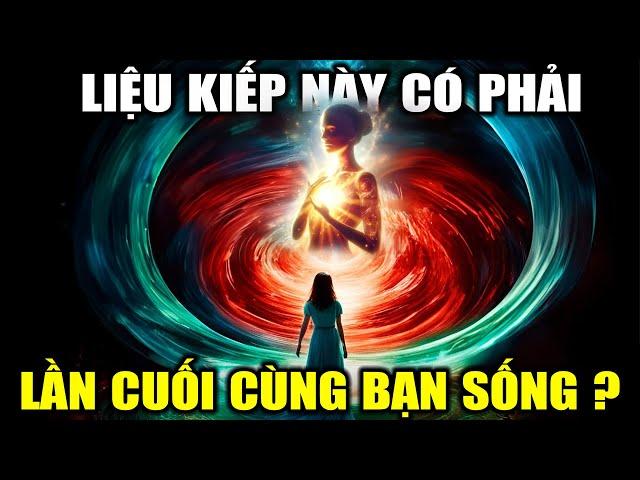 Kiếp Sống Này Có Thực Sự Là Cuối Cùng Của Bạn?  | BA Universe