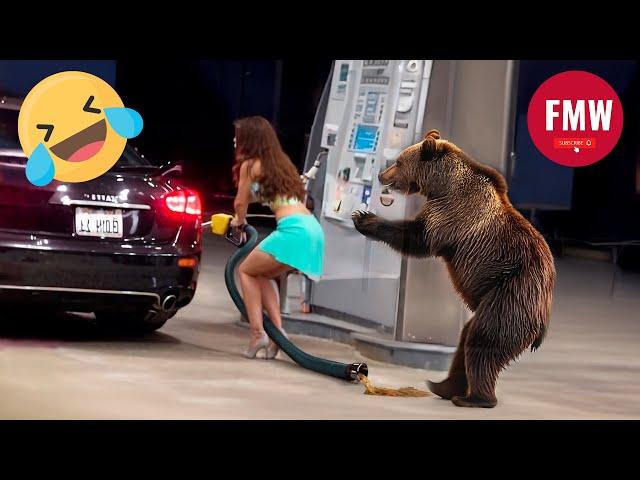 Funny & Hilarious People's Life  #232 - Try not to Laugh | Instant Regret Fails Compilation 2024