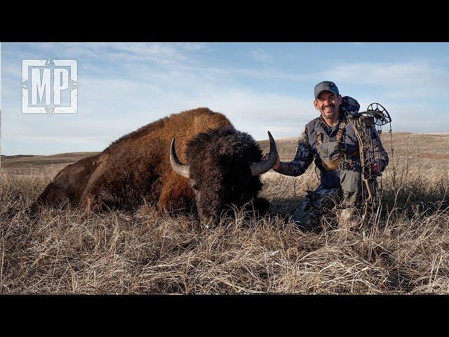 Spot-and-Stalk Bison in Nebraska | Mark V. Peterson Hunting