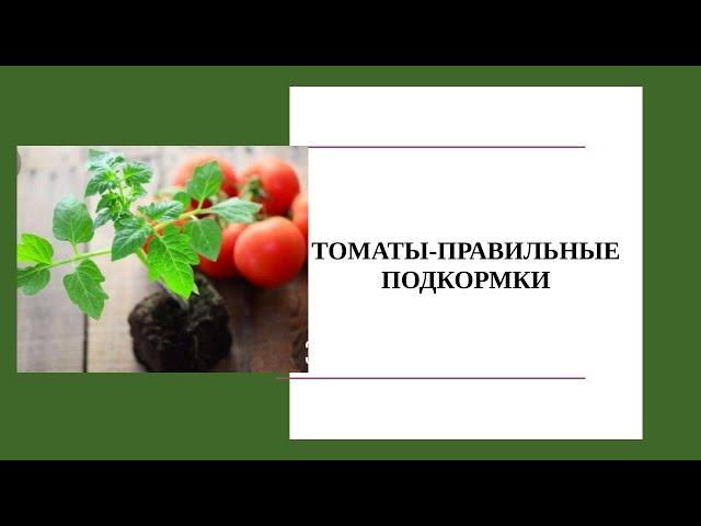 ТОМАТЫ БЕЗ ПИКИРОВКИ 2021. РАССАДА РАННИХ ТОМАТОВ. ПЕРВАЯ ПОДКОРМКА ТОМАТОВ.