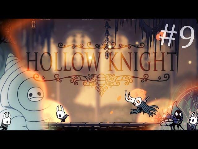 Колизей найден! / Hollow Knight #9