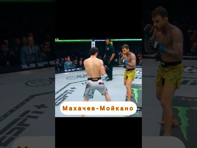 Ислам Махачев- Ренато Мойкано НОКДАУН #мма #махачев #sports
