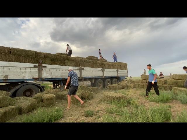 Заготовка сена на зиму. Разгрузка тюкового сена. Часть первая