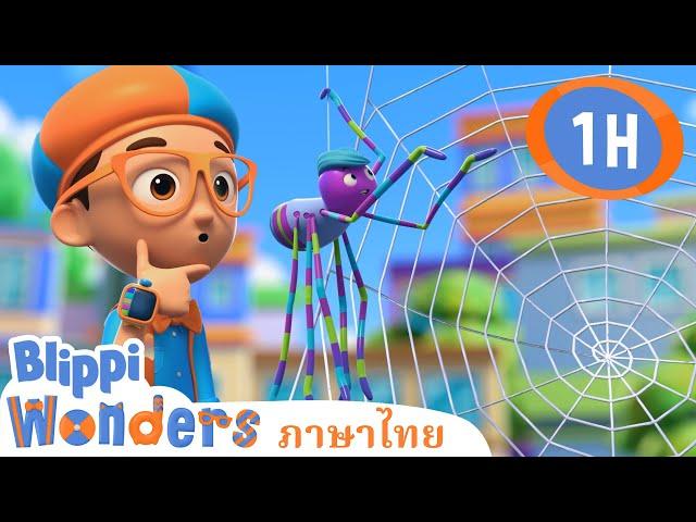 ใยแมงมุม | Blippi ไทย | วิดีโอการเรียนรู้สำหรับเด็ก