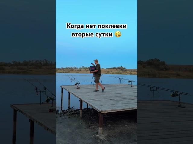 #shorts когда нет поклевки вторые сутки  #carpfishing #рыбалка #карпфишинг #fish #fishing