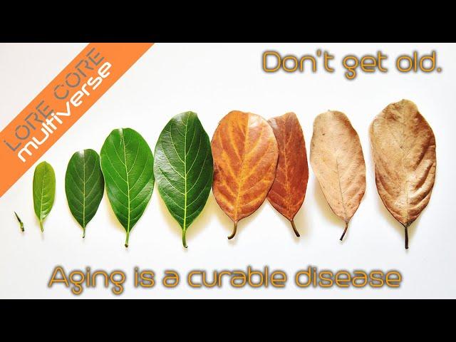 Don't Get Old - Lore Core