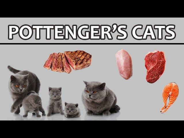 Pottenger's Cats [CONDENSED]