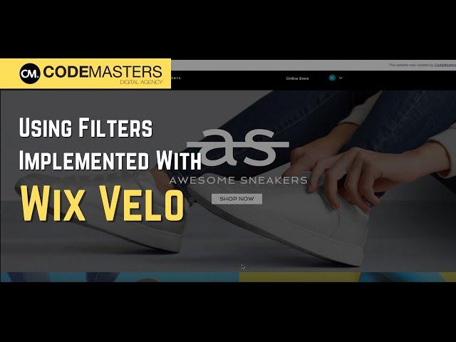 Using Filters Implemented with Wix Velo