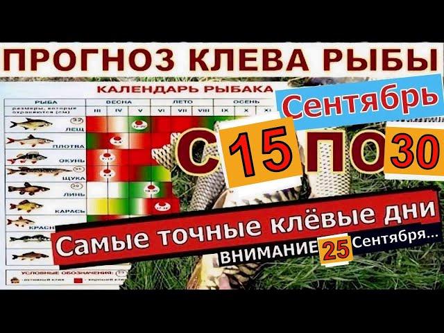 Прогноз клева рыбы на неделю с 15 по 30 Сентября 2024  Календарь клева рыбы Лунный календарь рыбака