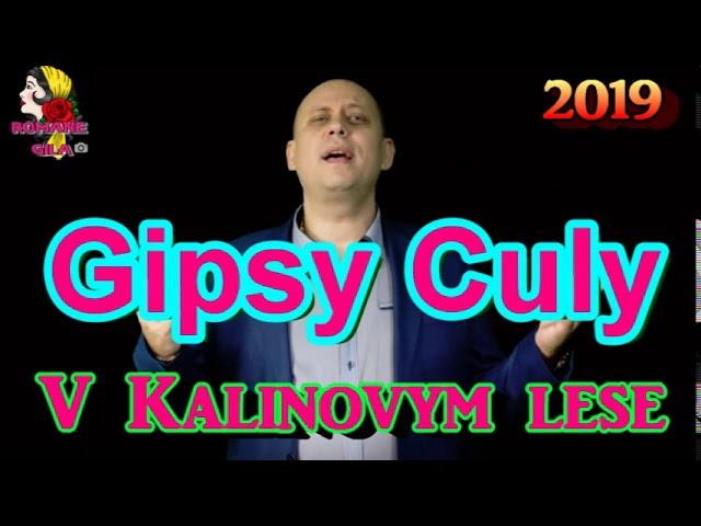 Gipsy Culy   V Kalinovym lese 2019