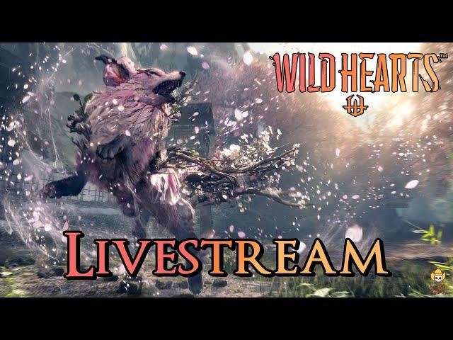 Live - Wild Hearts - Murakumo is Here!