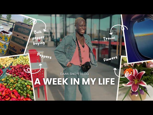 A WEEK IN MY LIFE | BUYING BULK PEPPER FOR WINTER | TRAVEL TO KITCHENER | SURPRISING FAMILY