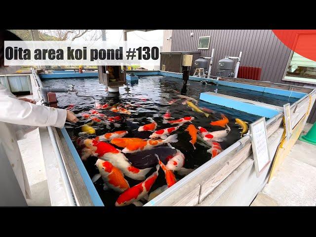 Koi pond in Oita Oita Prefecture(Beppu, Oita)