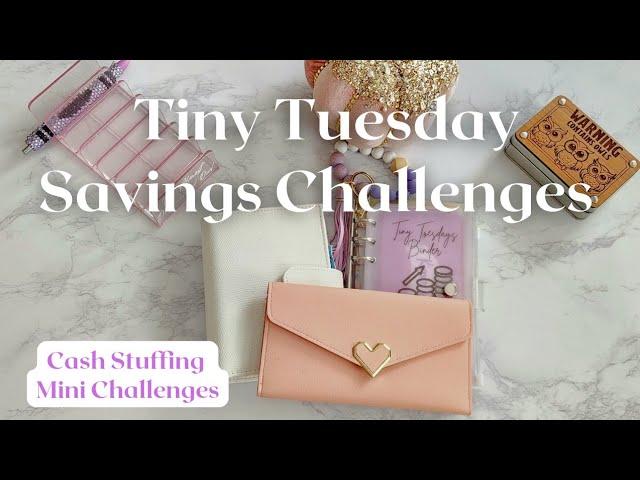 Tiny Tuesday Cash Stuffing Mini and Micro Savings Challenges | Roll and Save