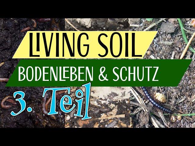 Living Soil | Bodenleben, Zersetzer und Räuber